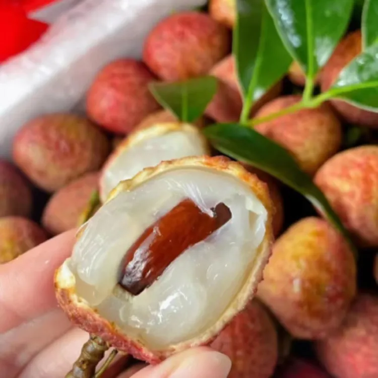 海南空运桂花香荔枝新鲜老树荔枝带桂花香味的荔枝香甜多汁发顺丰