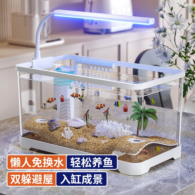 2025新款小型过滤生态造景网红装饰摆件白鱼缸鱼缸家用小型
