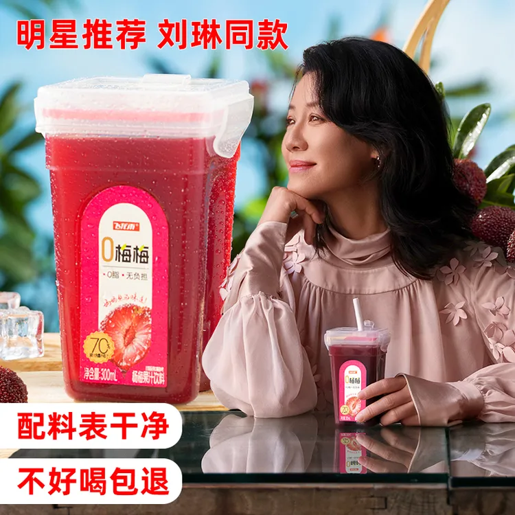 飞龙雨杨梅汁 贵州冰杨梅 果汁饮品 零脂肪无负担好喝解腻 6瓶装 