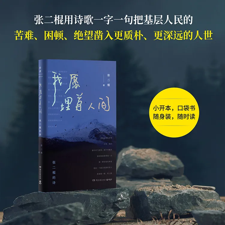 【博集】张二棍 我愿埋首人间：一个钻探工的诗 余秀华、陈年喜等推荐