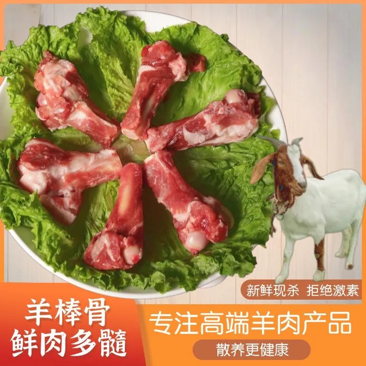 正宗散养现杀鲜羊棒骨带骨髓熬汤火锅红烧 新鲜冷链5斤包邮