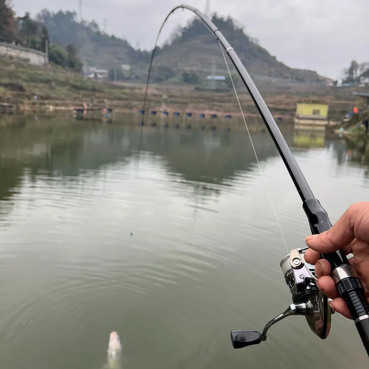 老夏渔具《黑棍滑漂盘车两用竿》纯手工打造全富士专业级钓鱼装备