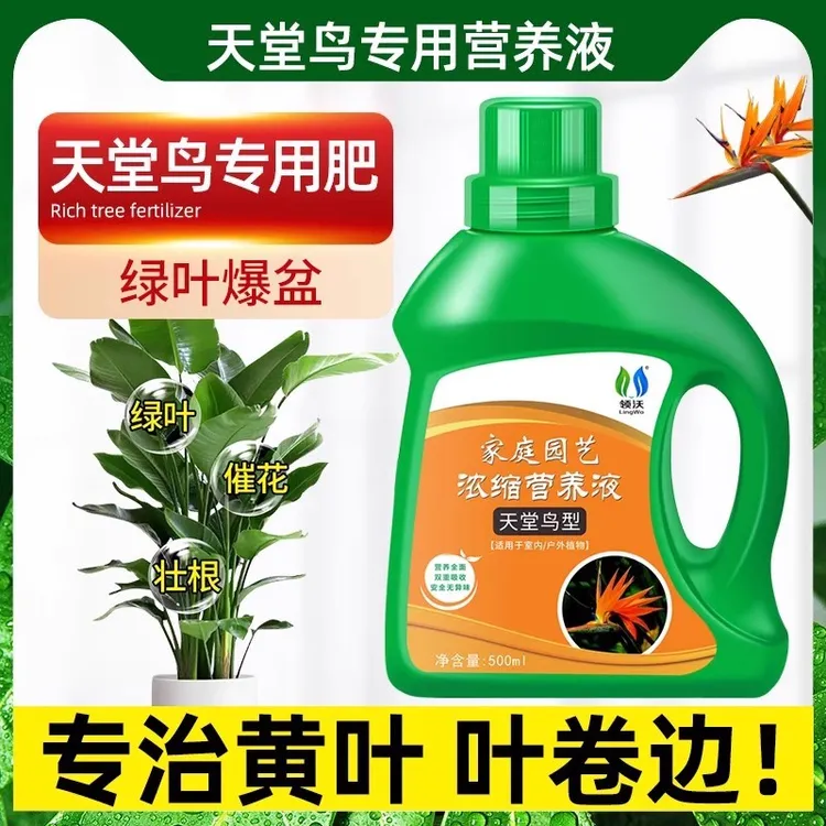 天堂鸟专用营养液黄叶卷边叶片干裂促生长阳台盆栽室内绿植通用肥
