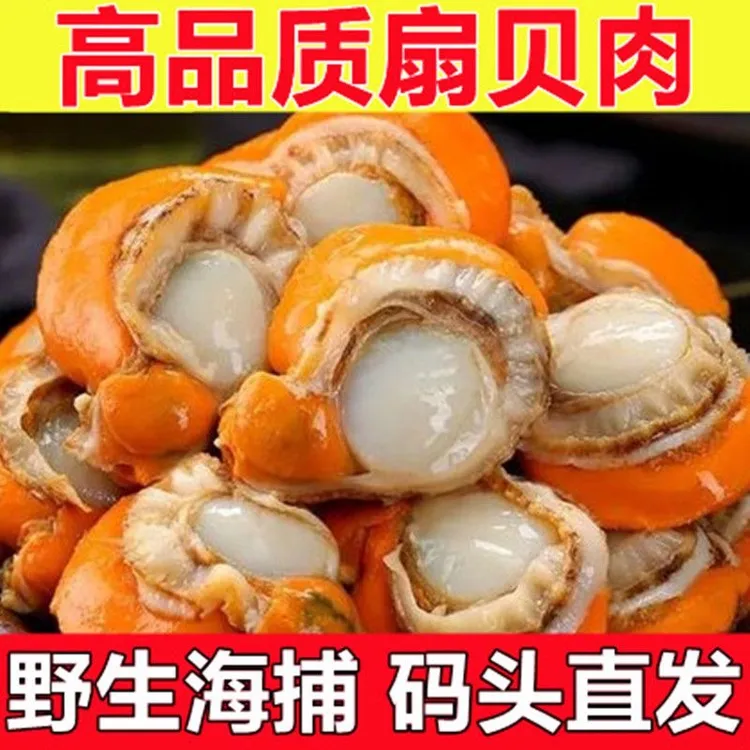 【买3斤送2斤】新鲜熟冻扇贝肉当季新货无泥无沙扇贝肉带冰衣发货AA商品图