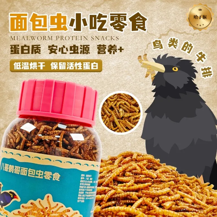 超大罐【面包虫干】鹦鹉适用 黄粉虫干 高蛋白饲料 互动奖励零食商品图