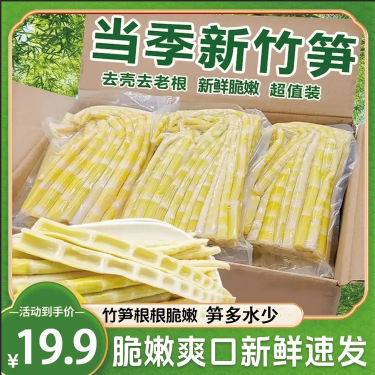 江西竹笋新鲜嫩笋尖春笋脆笋鲜竹笋罗汉笋子方竹笋火锅笋笋尖凉拌