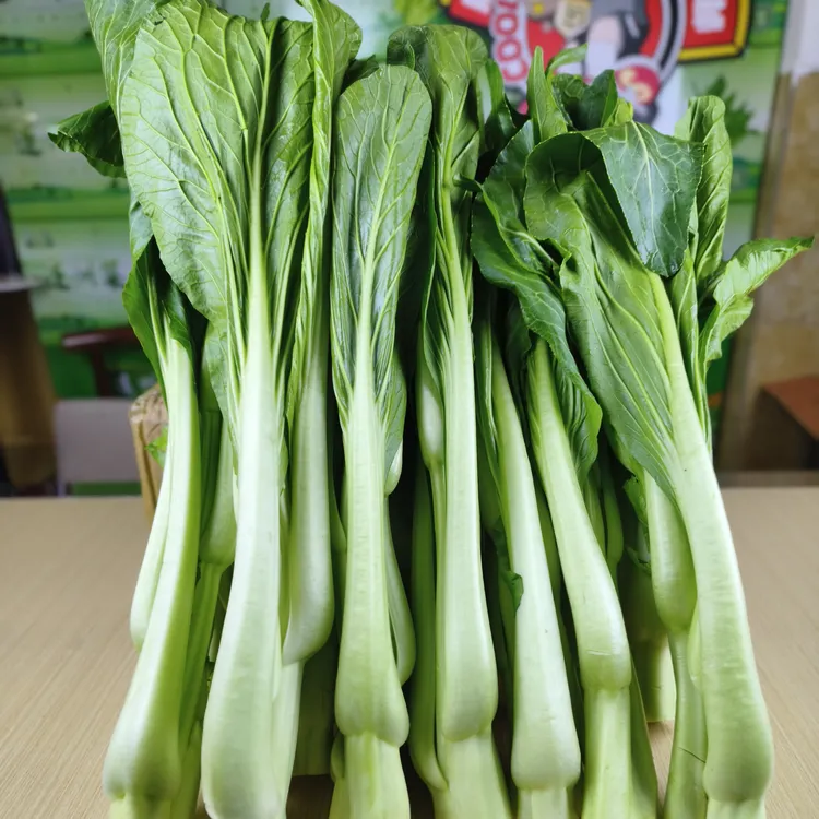 广东:清远连州4号迟菜心