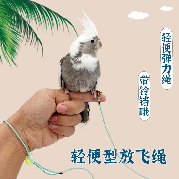 鹦鹉鹦鹉放飞绳户外牵引弹力鸟用绳轻便训练绳遛鸟绳放飞宠物小鸟