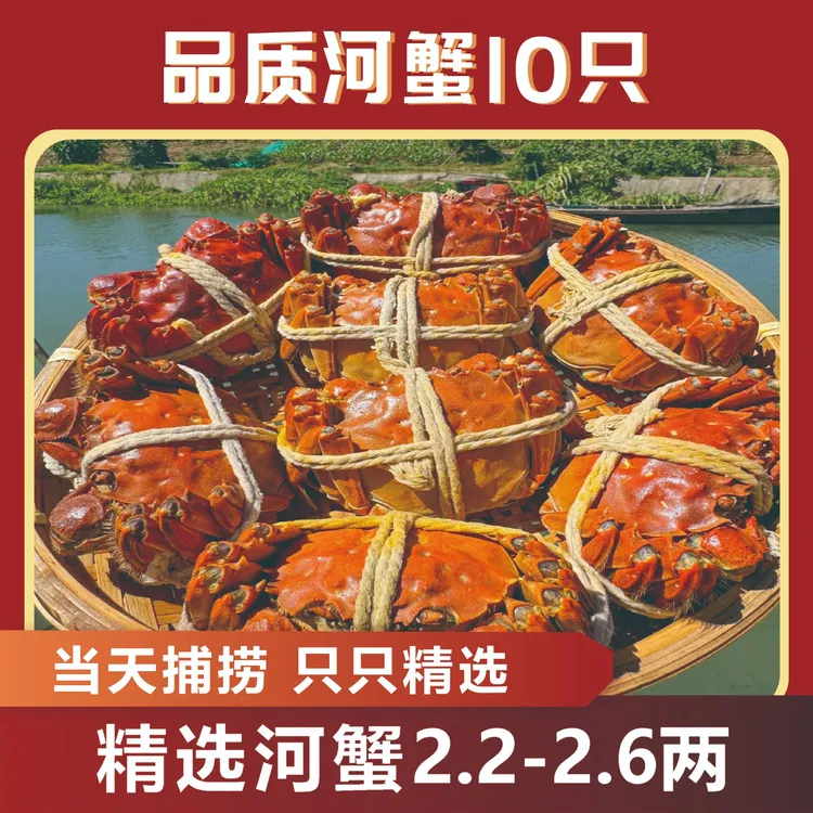 【活蟹现货】鲜活河蟹2.2--2.6两/10只装江苏鲜活清水蟹公蟹顺丰发