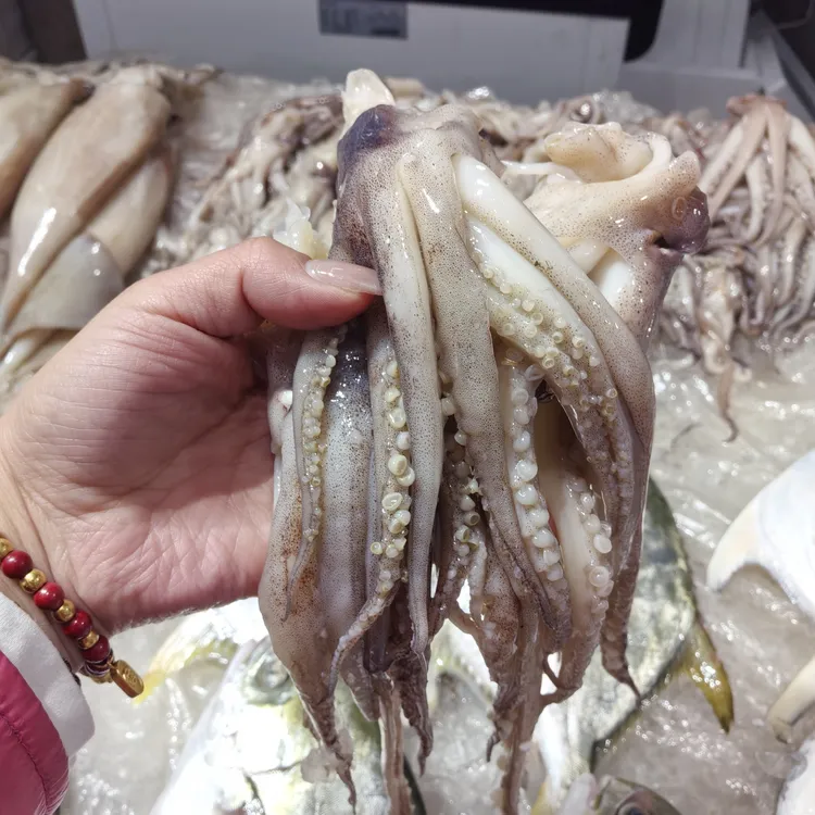 【新鲜鱿鱼须～西安一个小时送到家】新鲜鱿鱼须1斤 爆炒香辣干锅