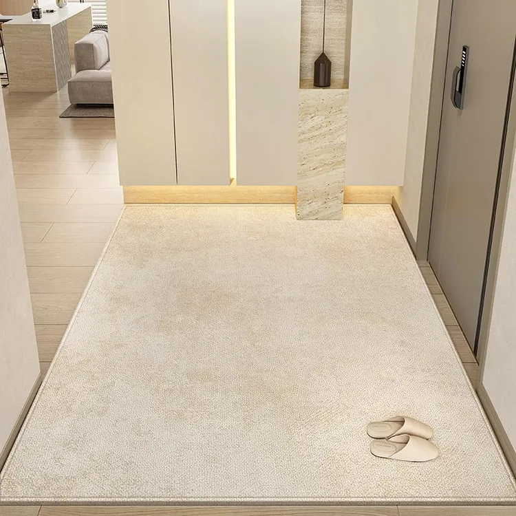 圈绒新款奶油风入户门地垫轻奢高级简约地毯门垫家用意式防滑脚垫