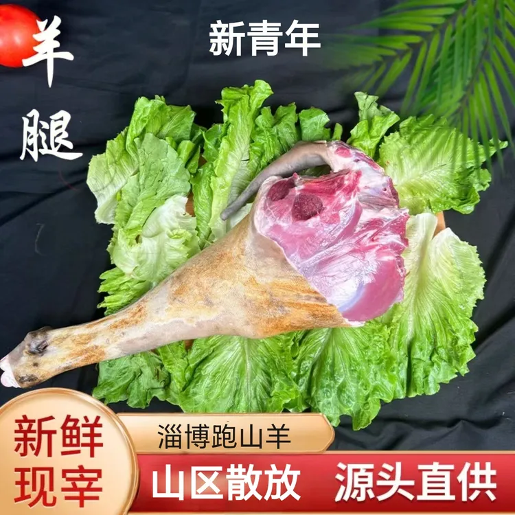 山东淄博博山山区散放新鲜现宰黑山羊红山羊羊腿顺丰包邮