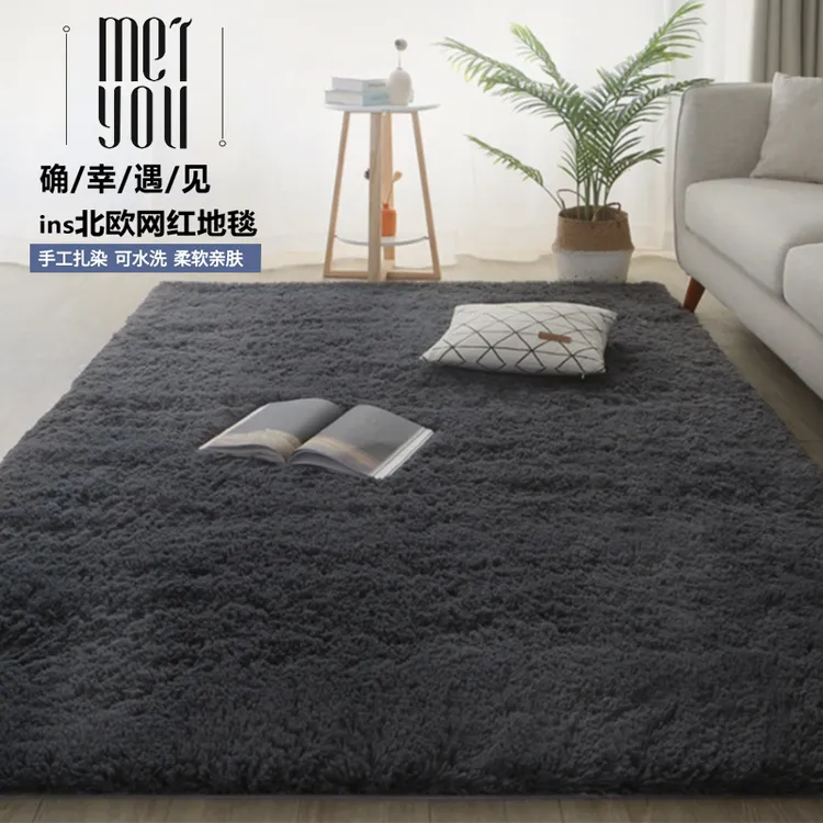 秋冬新款客厅地毯床边茶几卧室垫子加厚房间毛绒网红轻奢毛毯地垫
