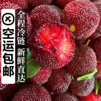 【顺丰京东空运次日达】龙海浮宫杨梅正宗中梅特大果红果1-5斤B