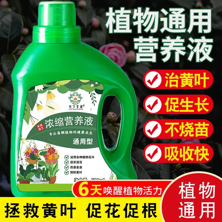 植物营养液养花通用型绿植盆栽花卉绿萝富贵竹多肉肥料浓缩氮磷钾