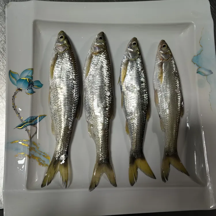 水库白条鱼去内脏真空包装京东包邮到家