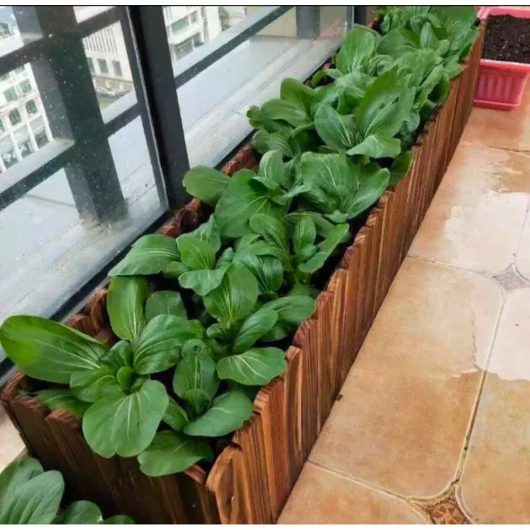 碳化防腐实木花箱室内外种菜庭院阳台花盆户外长方形木质花槽耐用