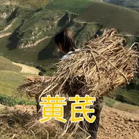 （林林）陕北山地【新黄芪】种植8～9年现挖现切 泡水煲汤 保温杯常备