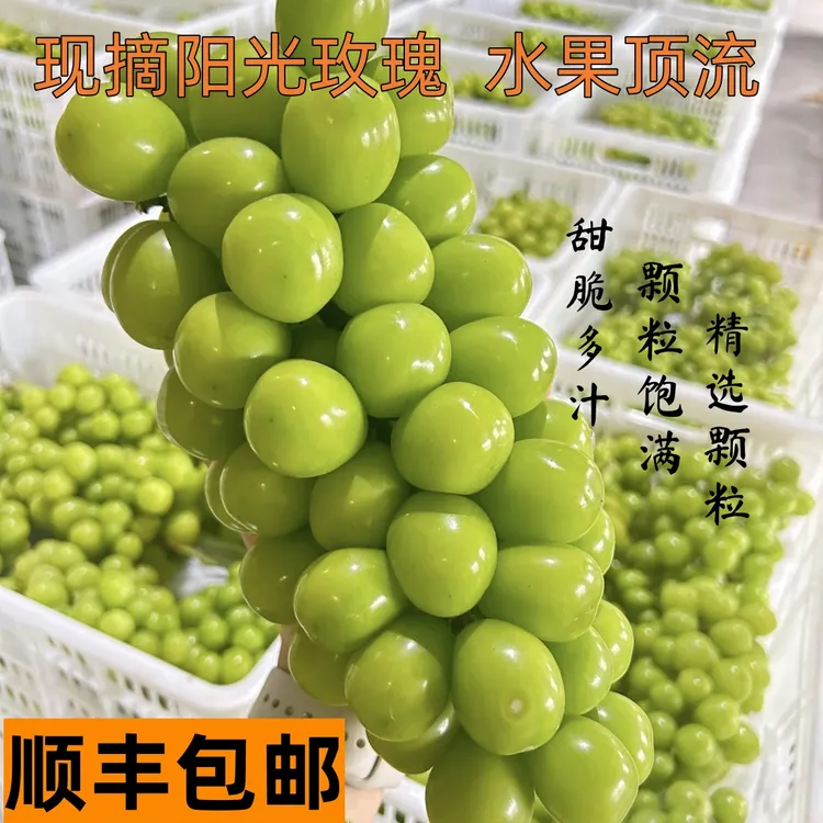 【顺丰】正宗阳光玫瑰葡萄新鲜采摘产地直发应季水果脆甜多汁饱满