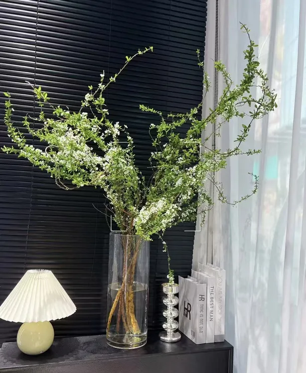 新鲜雪柳鲜切枝鲜枝带花苞水培植物室内客厅水养装饰绿植插花花卉