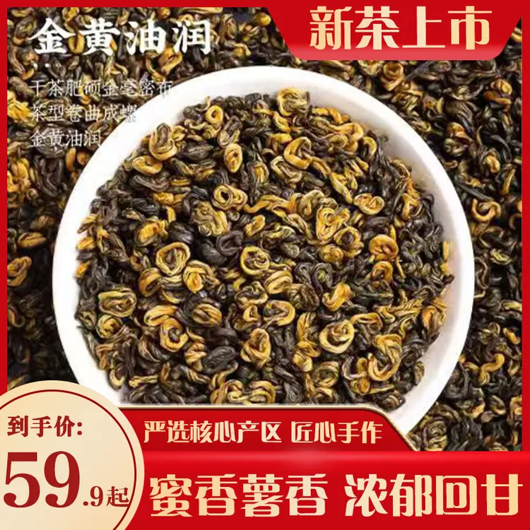 【蜜香浓郁】滇红金螺云南新茶颗粒饱满卷曲蜜香薯香浓香口粮茶叶