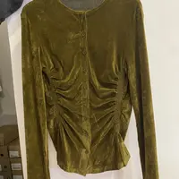 炫色小众新品秋冬加厚收褶显瘦丝绒上衣