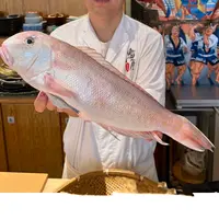 特嫩特厚肉一年一度的野生红马头鱼季节来啦 好吃到飞起