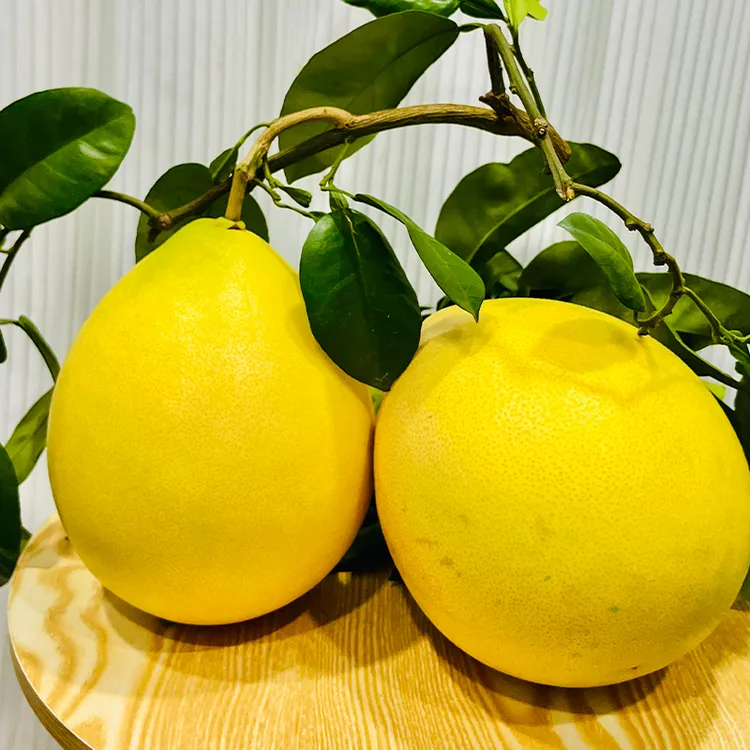 寻味潮汕梅州蜜柚客家特产红心柚子当季新鲜时令水果红肉蜜柚
