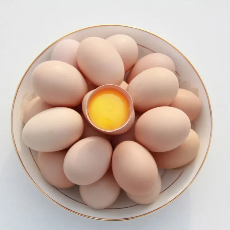 禽之宝琅琊鸡活鸡蛋，卵磷脂，叶黄素丰富，0抗生素，0激素，可生食。