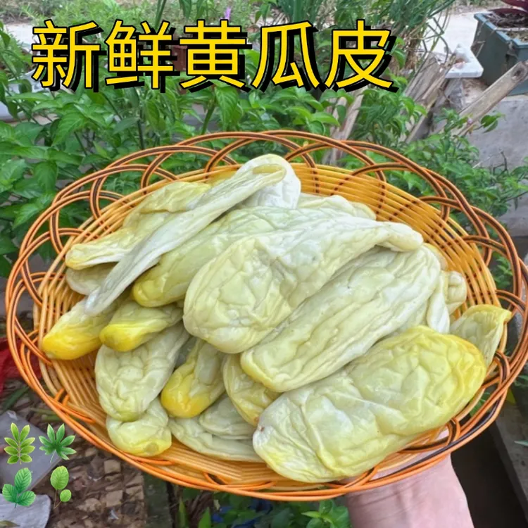 广西钦州黄瓜皮新鲜正宗酸脆爽口下饭菜