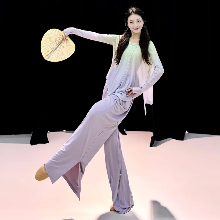 善然堂现代舞练功服女飘逸中国风渐变色纱衣舞蹈服演出服网纱上衣