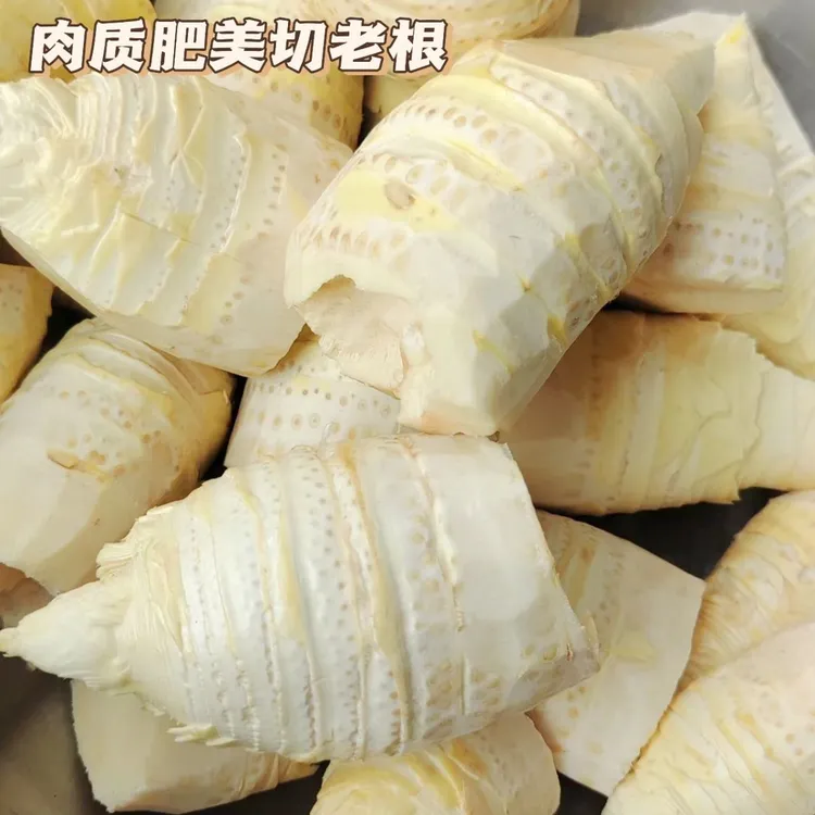 现剥新鲜冬笋肉非水煮笋脆嫩甜笋不涩口江西高山黄泥笋春笋竹笋肉