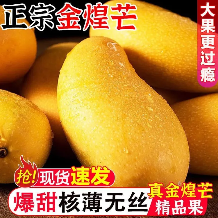 【大果】金煌芒贵州望谟金煌芒正宗水仙芒9斤装水仙芒果批发
