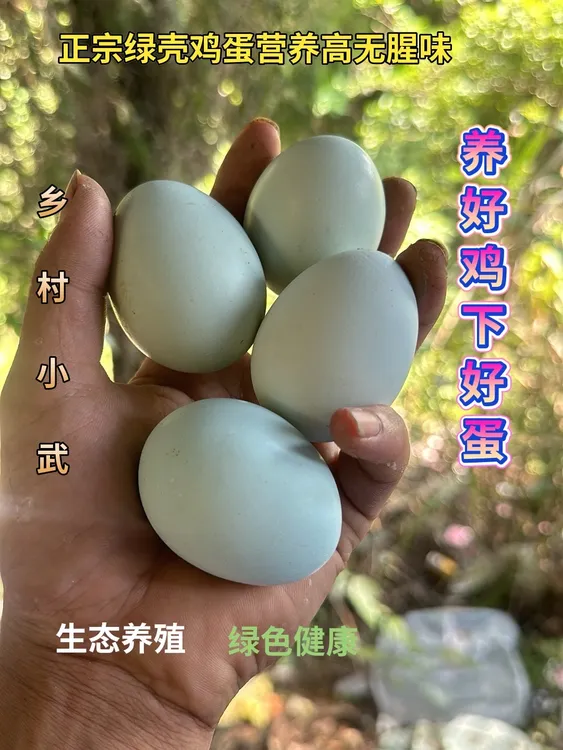 乡村小武农村散养鸡绿壳蛋一盒30枚，包邮到家食用