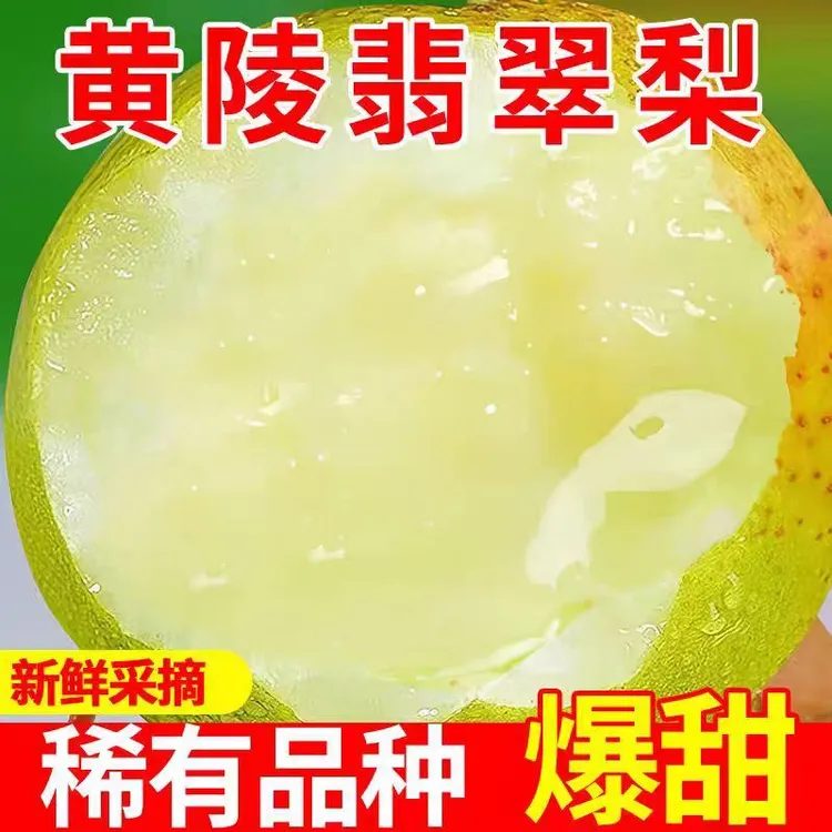 黄陵现摘翡翠梨新鲜可口美味多汁皮薄肉多爽口无渣当季正宗鲜甜果