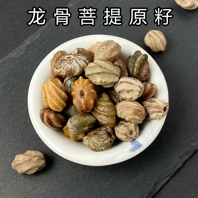 精选天然龙骨菩提原料龙脊风化按斤称原生态diy菩提手串文玩男