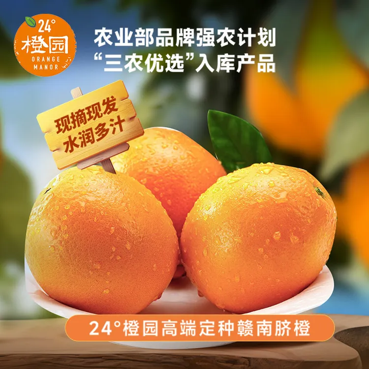 寻乌脐橙王24°橙园高山稀土订种果产地直发礼盒装新鲜水果