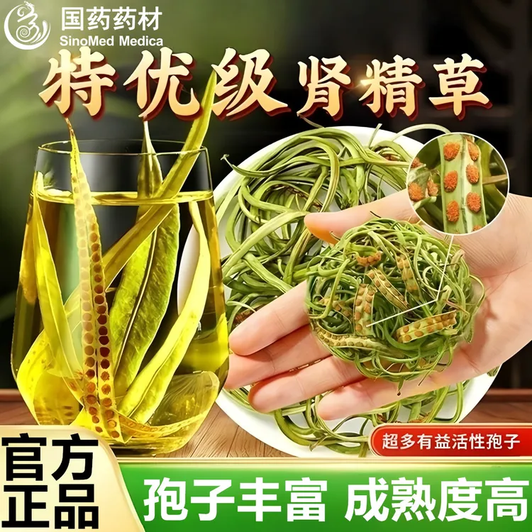 国药药材肾精草东北长白山正宗肾精茶男士滋补可泡水泡茶喝iosn