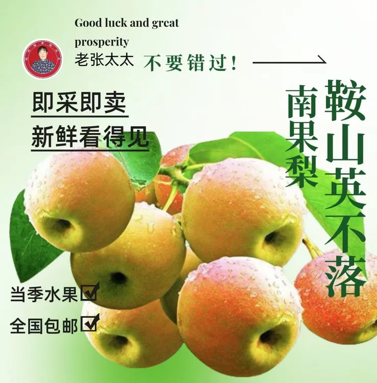 辽宁鞍山南果梨老张太太青蛙南果梨梨子婆罗门正宗