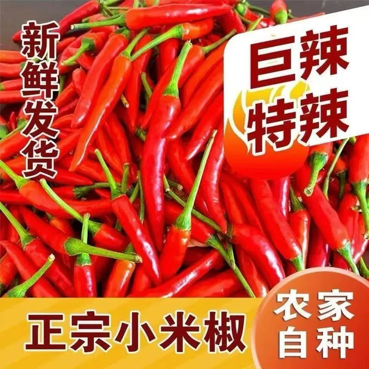 【新店补贴】新鲜农家自种小米辣椒特辣可泡椒的朝天椒蔬菜