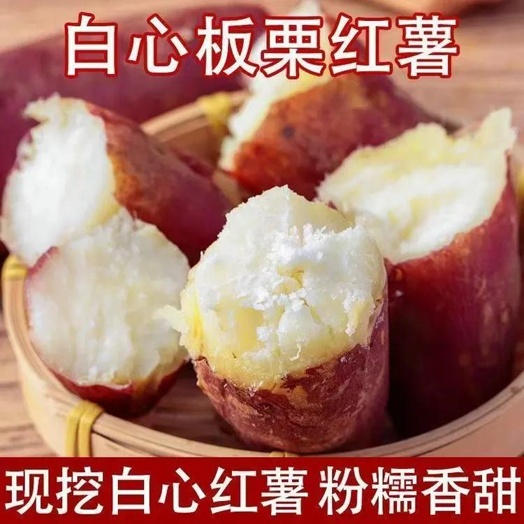 【正宗】新鲜白心板栗薯沙地现挖老品种番薯红皮地瓜