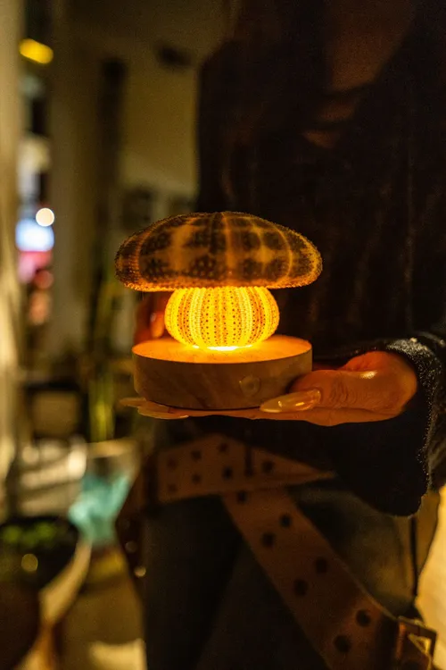 海南三亚特色旅行纪念品原创手作送人潮玩海胆蘑菇小夜灯伴手礼