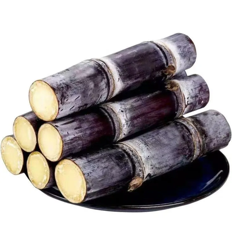 广西黑皮甘蔗新鲜应季水果现砍现发脆甜多汁应季甘蔗产地直发