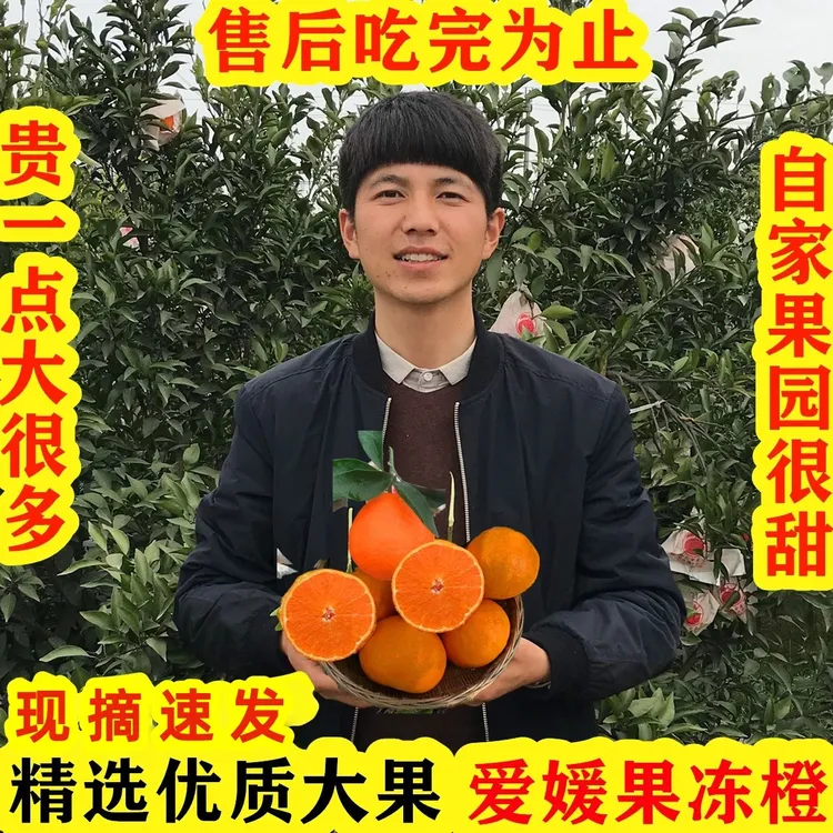 四川爱媛38号果冻橙大果正宗新鲜孕妇水果当季红美人甜橙