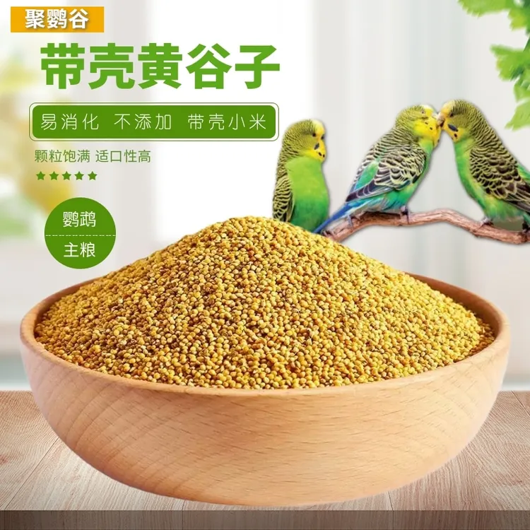 带壳黄谷子虎皮牡丹中小型鹦鹉文鸟鸟食鸟粮