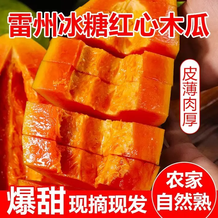 【树上熟雷州红心木瓜】当季新鲜现发牛奶红心冰糖红心木瓜整箱包邮