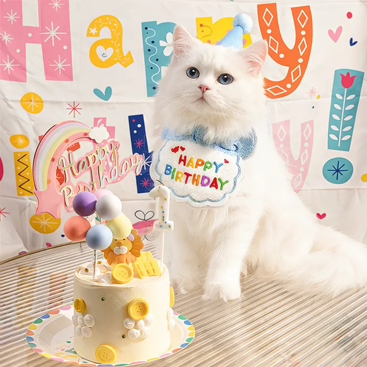 宠物猫咪狗狗生日帽围兜派对帽子饰品生日派对套装用品口水巾