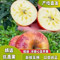 【永春推荐】云南昭通精品冰糖心丑苹果产地直发！