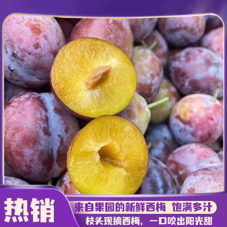 2025正宗新疆新鲜现摘大西梅酸甜可口孕妇应季红心鲜果当地直发