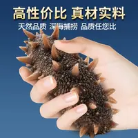 8头精美礼盒即食辽刺参顺丰京东包邮Q弹口感深海品质保证